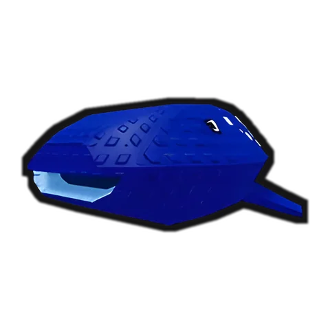 Whale Shark